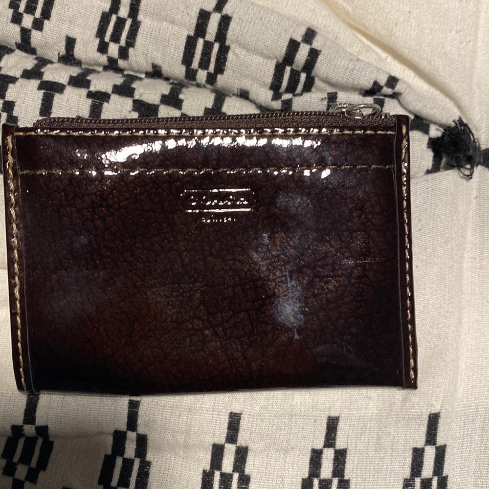 Coach mini skinny